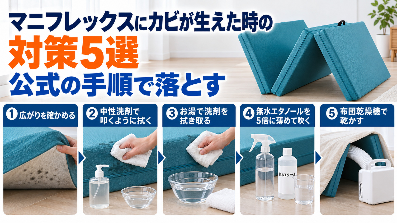 マニフレックスにカビが生えた時の対策5選を、広がりの確認から布団乾燥機での乾燥まで順番に示した図