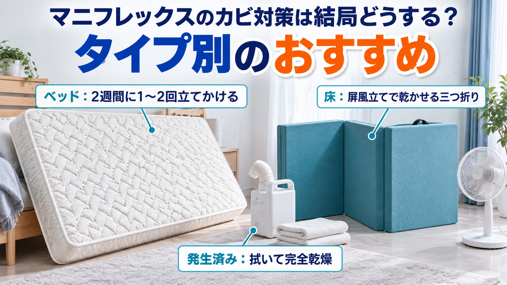 マニフレックスのカビ対策をベッド・床・発生済みのタイプ別に整理した画像